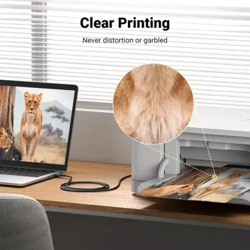 Ugreen USB 2.0 AM to BM Print Cable 3m - Black ,